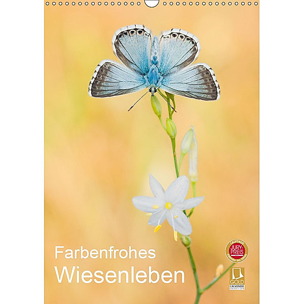 Farbenfrohes Wiesenleben (Wandkalender 2019 DIN A3 hoch), Perdita Petzl