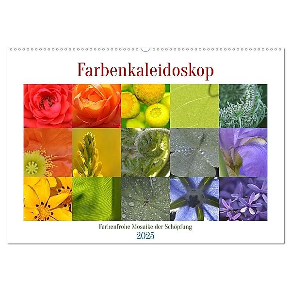Farbenkaleidoskop (Wandkalender 2025 DIN A2 quer), CALVENDO Monatskalender, Calvendo, Heiko Wolf
