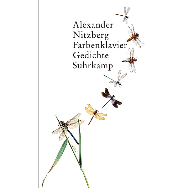 Farbenklavier, Alexander Nitzberg