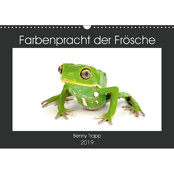 Farbenpracht der Frösche (Wandkalender 2019 DIN A3 quer), Benny Trapp
