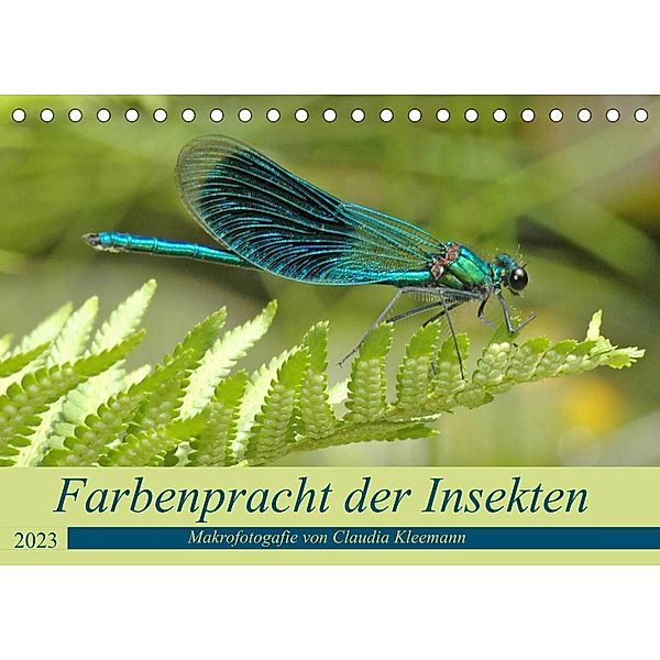 Farbenpracht der Insekten (Tischkalender 2023 DIN A5 quer), Claudia Kleemann