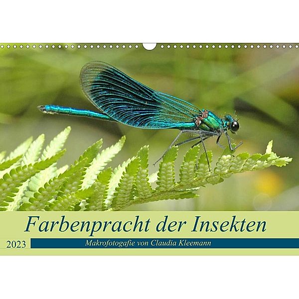 Farbenpracht der Insekten (Wandkalender 2023 DIN A3 quer), Claudia Kleemann