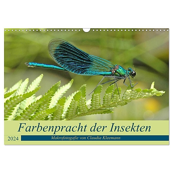 Farbenpracht der Insekten (Wandkalender 2024 DIN A3 quer), CALVENDO Monatskalender, Claudia Kleemann