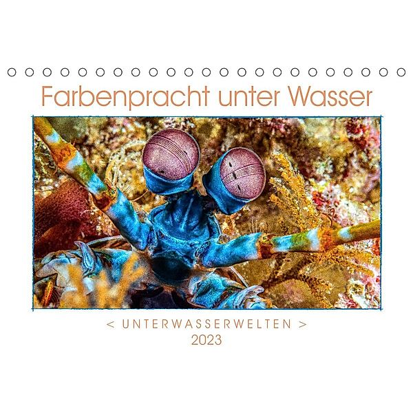 Farbenpracht unter Wasser (Tischkalender 2023 DIN A5 quer), Dieter Gödecke