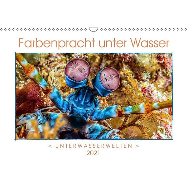 Farbenpracht unter Wasser (Wandkalender 2021 DIN A3 quer), Dieter Gödecke