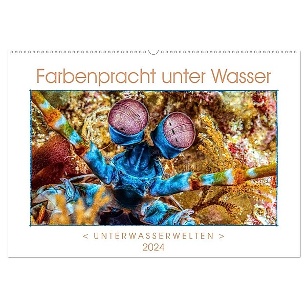 Farbenpracht unter Wasser (Wandkalender 2024 DIN A2 quer), CALVENDO Monatskalender, Dieter Gödecke