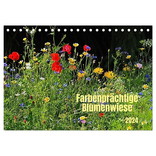 Farbenprächtige Blumenwiese (Tischkalender 2024 DIN A5 quer), CALVENDO Monatskalender, Thilo Seidel