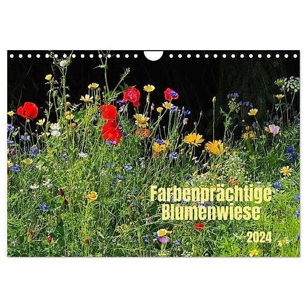 Farbenprächtige Blumenwiese (Wandkalender 2024 DIN A4 quer), CALVENDO Monatskalender, Thilo Seidel