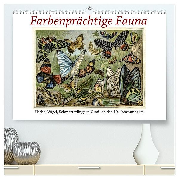 Farbenprächtige Fauna. Fische, Vögel, Schmetterlinge in Grafiken des 19 Jahrhunderts (hochwertiger Premium Wandkalender 2024 DIN A2 quer), Kunstdruck in Hochglanz, Jost Galle