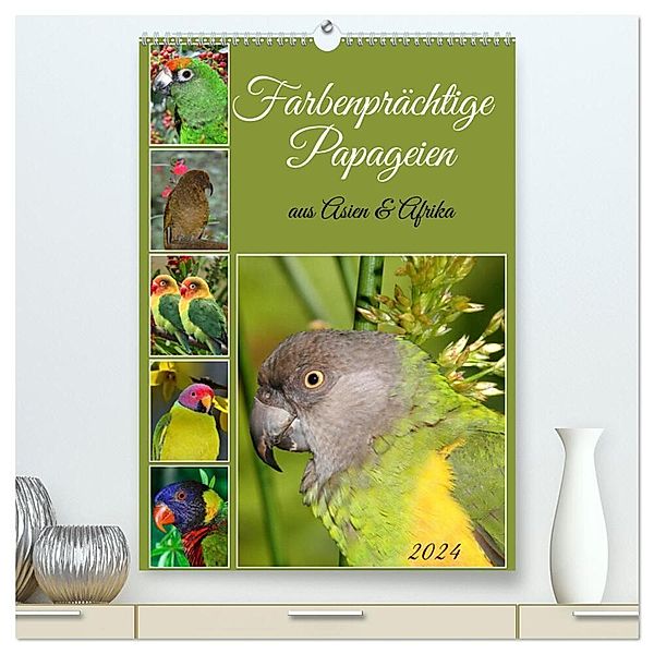 Farbenprächtige Papageien aus Asien und Afrika (hochwertiger Premium Wandkalender 2024 DIN A2 hoch), Kunstdruck in Hochglanz, Claudia Kleemann