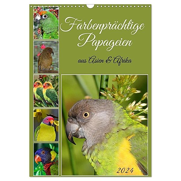 Farbenprächtige Papageien aus Asien und Afrika (Wandkalender 2024 DIN A3 hoch), CALVENDO Monatskalender, Claudia Kleemann