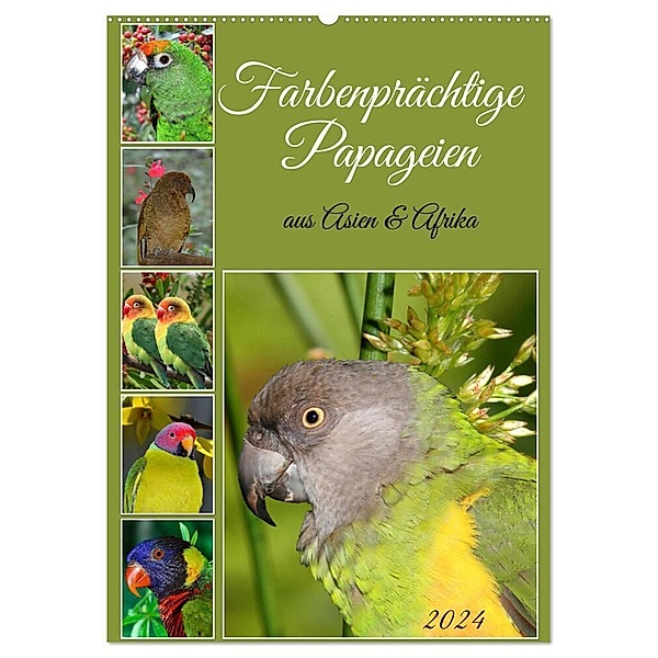 Farbenprächtige Papageien aus Asien und Afrika (Wandkalender 2024 DIN A2 hoch), CALVENDO Monatskalender, Claudia Kleemann