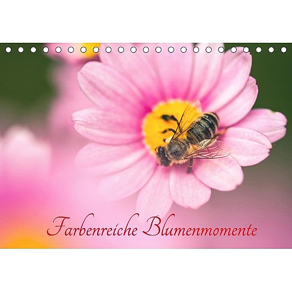 Farbenreiche Blumenmomente (Tischkalender 2021 DIN A5 quer), Alena Holtz