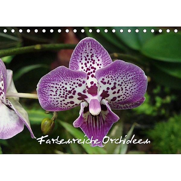 Farbenreiche Orchideen (Tischkalender 2019 DIN A5 quer), Sven Herkenrath