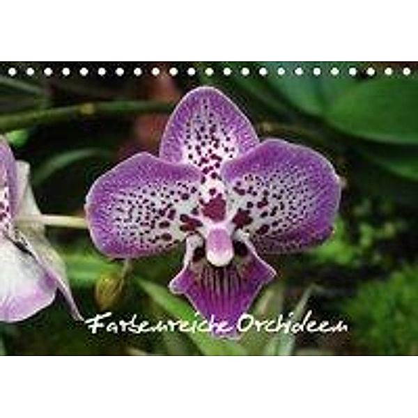 Farbenreiche Orchideen (Tischkalender 2020 DIN A5 quer), Sven Herkenrath