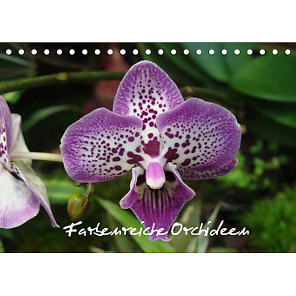 Farbenreiche Orchideen (Tischkalender 2022 DIN A5 quer), Sven Herkenrath