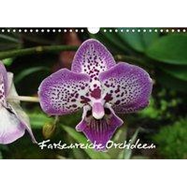 Farbenreiche Orchideen (Wandkalender 2020 DIN A4 quer), Sven Herkenrath