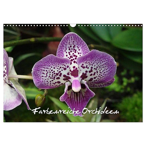 Farbenreiche Orchideen (Wandkalender 2024 DIN A3 quer), CALVENDO Monatskalender, Sven Herkenrath