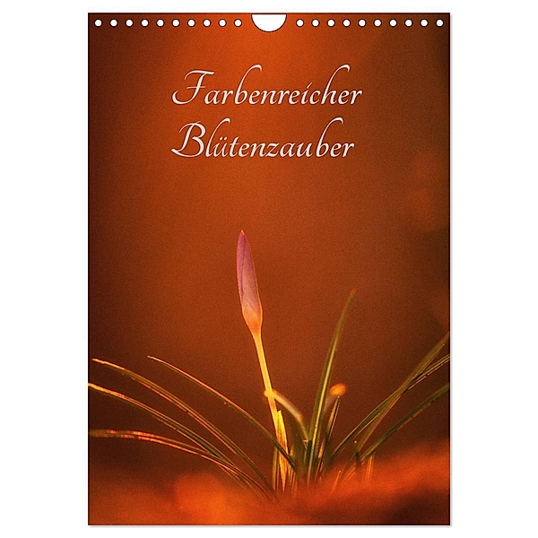 Farbenreicher Blütenzauber (Wandkalender 2025 DIN A4 hoch), CALVENDO Monatskalender, Calvendo, Alena Holtz