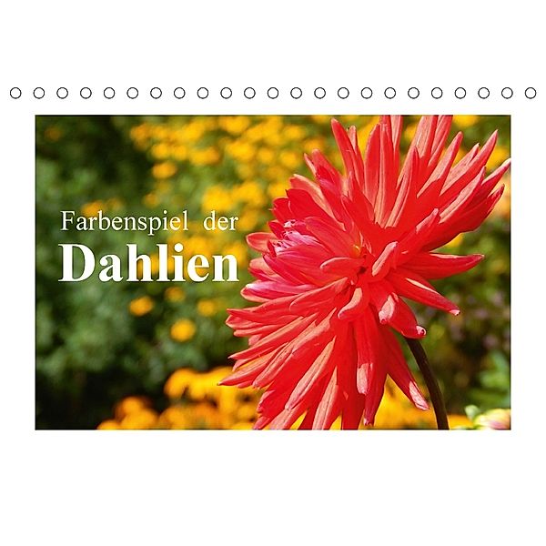 Farbenspiel der Dahlien (Tischkalender 2018 DIN A5 quer), Martina Busch