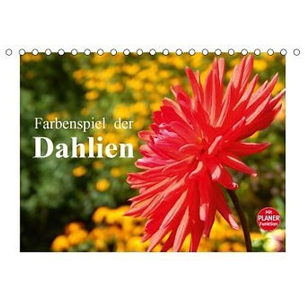 Farbenspiel der Dahlien (Tischkalender 2020 DIN A5 quer), Martina Busch