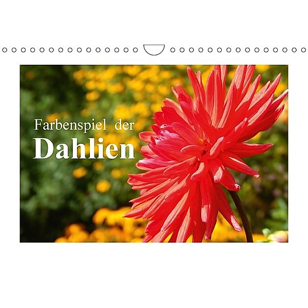 Farbenspiel der Dahlien (Wandkalender 2018 DIN A4 quer), Martina Busch