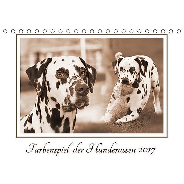Farbenspiel der Hunderassen (Tischkalender 2017 DIN A5 quer), Barbara Mielewczyk