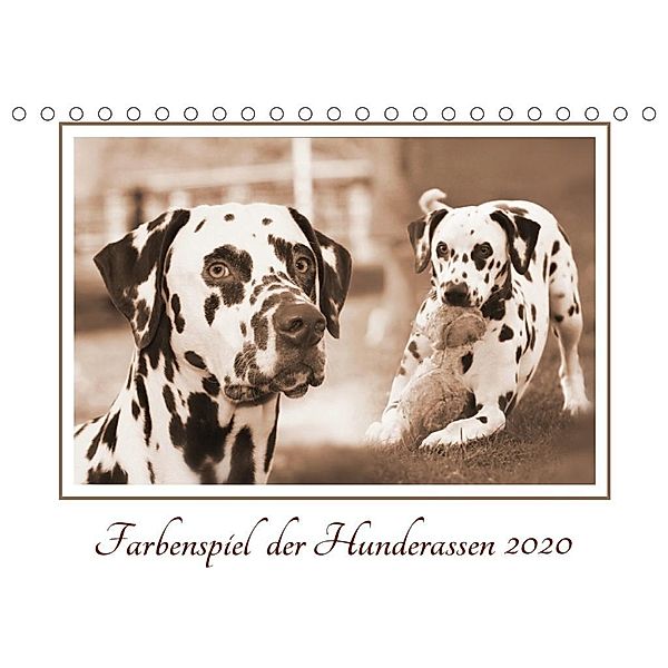 Farbenspiel der Hunderassen (Tischkalender 2020 DIN A5 quer), Barbara Mielewczyk