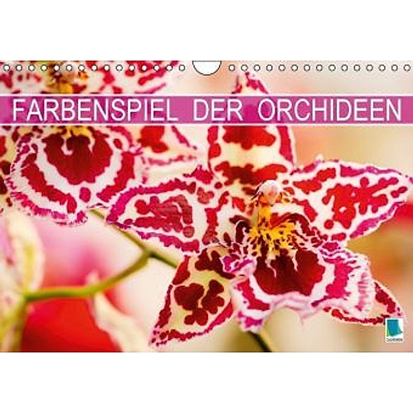 Farbenspiel der Orchideen (Wandkalender 2016 DIN A4 quer), Calvendo