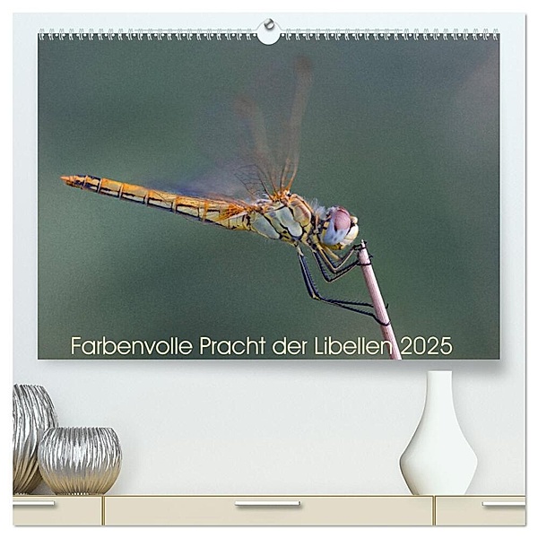 Farbenvolle Pracht der Libellen (hochwertiger Premium Wandkalender 2025 DIN A2 quer), Kunstdruck in Hochglanz, Calvendo, Dany´s Blickwinkel