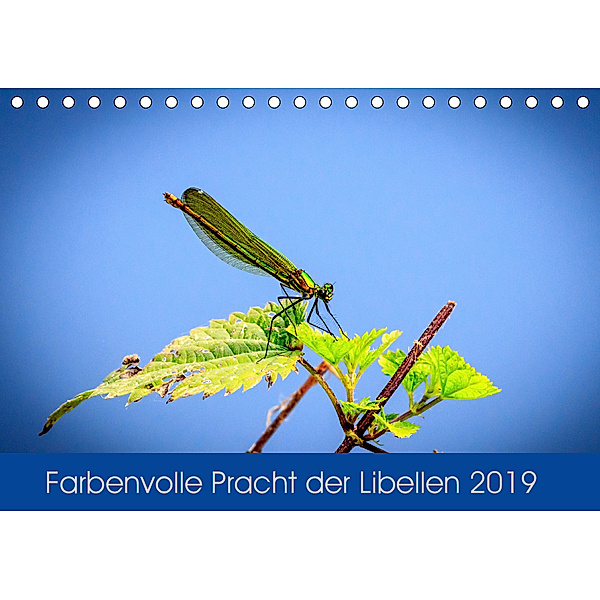 Farbenvolle Pracht der Libellen (Tischkalender 2019 DIN A5 quer), Dany s Blickwinkel