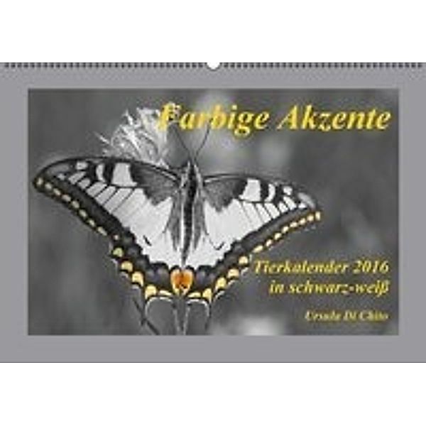 Farbige Akzente - Tierkalender 2016 in schwarz-weiß (Wandkalender 2016 DIN A2 quer), Ursula Di Chito