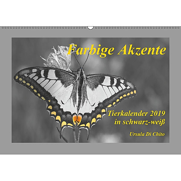 Farbige Akzente - Tierkalender 2019 in schwarz-weiß (Wandkalender 2019 DIN A2 quer), Ursula Di Chito