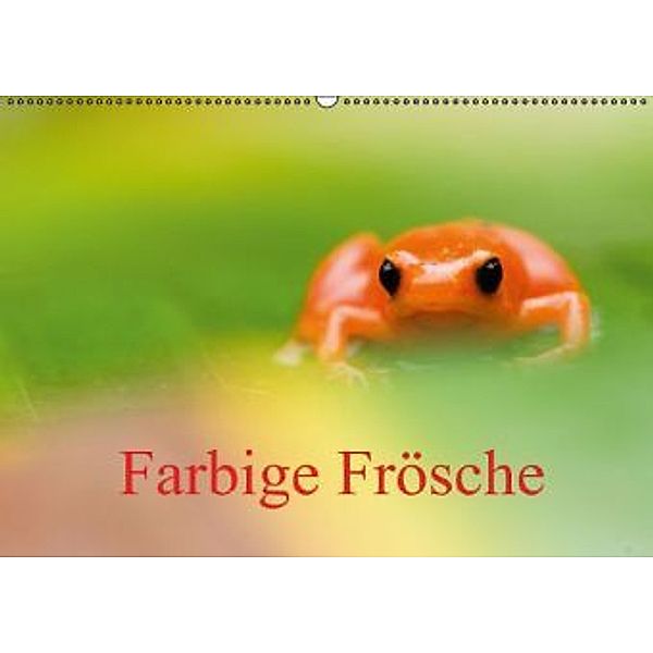 Farbige Frösche (Wandkalender 2015 DIN A2 quer), Edwin Giesbers