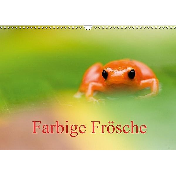 Farbige Frösche (Wandkalender 2017 DIN A3 quer), Edwin Giesbers