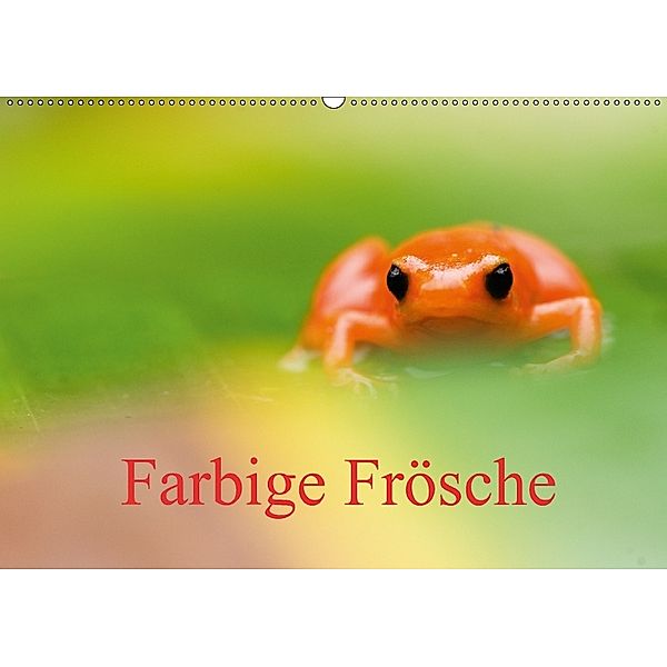 Farbige Frösche (Wandkalender 2018 DIN A2 quer), Edwin Giesbers