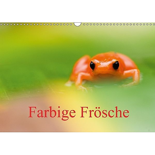 Farbige Frösche (Wandkalender 2018 DIN A3 quer), Edwin Giesbers