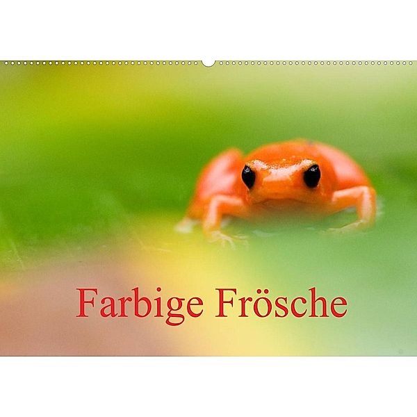Farbige Frösche (Wandkalender 2023 DIN A2 quer), Edwin Giesbers