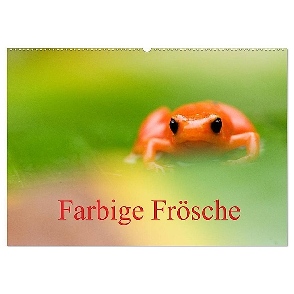 Farbige Frösche (Wandkalender 2024 DIN A2 quer), CALVENDO Monatskalender, Edwin Giesbers