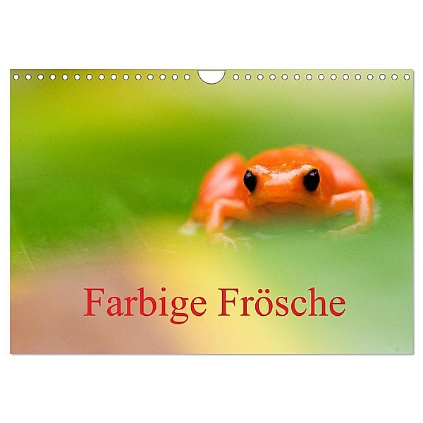 Farbige Frösche (Wandkalender 2024 DIN A4 quer), CALVENDO Monatskalender, Edwin Giesbers