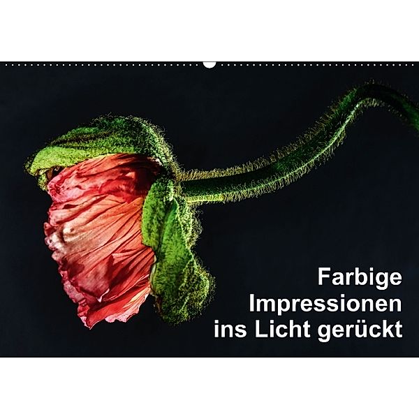 Farbige Imressionen ins Licht gerückt (Wandkalender 2014 DIN A2 quer), HerzogPictures