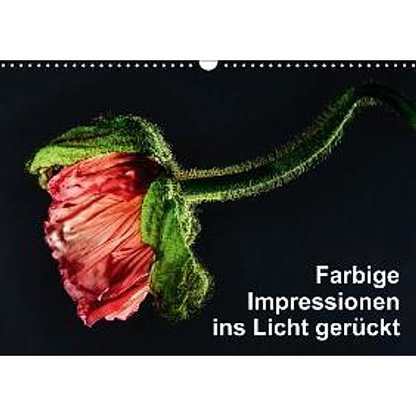 Farbige Imressionen ins Licht gerückt (Wandkalender 2015 DIN A3 quer), HerzogPictures