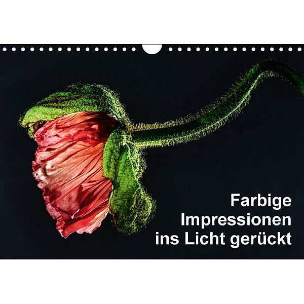 Farbige Imressionen ins Licht gerückt (Wandkalender 2018 DIN A4 quer), HerzogPictures