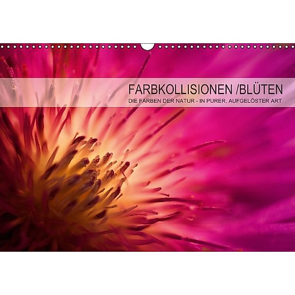 FARBKOLLISIONEN /BLÜTEN (Wandkalender 2014 DIN A3 quer), André W. Zeischold