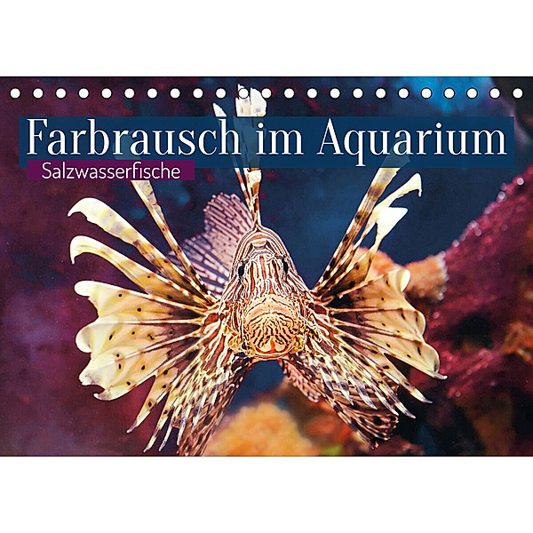 Farbrausch im Aquarium: Salzwasserfische (Tischkalender 2023 DIN A5 quer), Calvendo