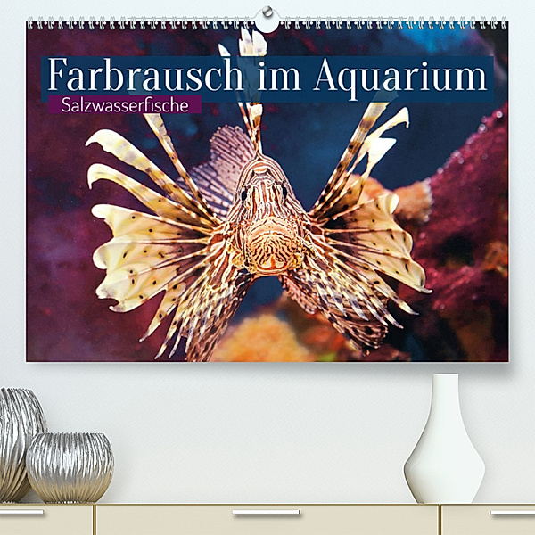Farbrausch im Aquarium: Salzwasserfische (Premium, hochwertiger DIN A2 Wandkalender 2023, Kunstdruck in Hochglanz), Calvendo