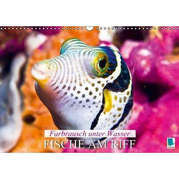 Farbrausch unter Wasser: Fische am Riff (Wandkalender 2015 DIN A3 quer), Calvendo