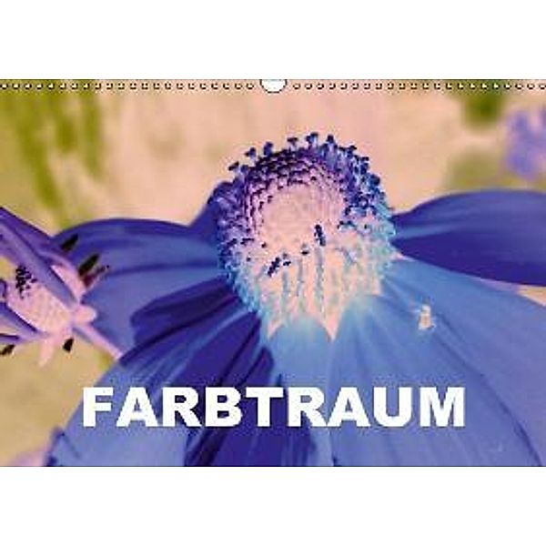 FARBTRAUM (Wandkalender 2016 DIN A3 quer), Linda Schilling und Michael Wlotzka