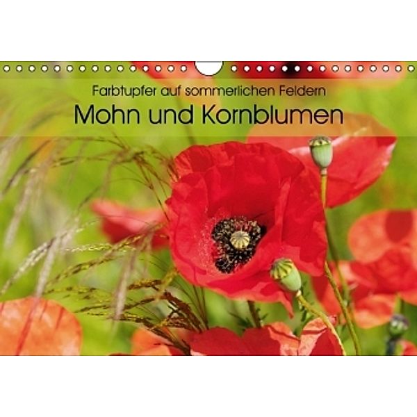 Farbtupfer auf sommerlichen Feldern - Mohn und Kornblumen (Wandkalender 2015 DIN A4 quer), Anja Frost