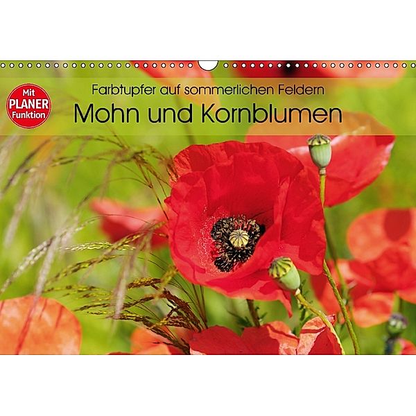 Farbtupfer auf sommerlichen Feldern - Mohn und Kornblumen (Wandkalender 2018 DIN A3 quer), Anja Frost